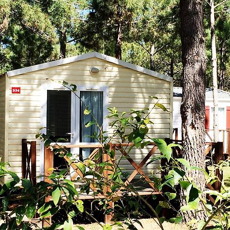 Orbitur Sitava Milfontes Bungalows - Caravan Park Odemira Dış mekan fotoğraf